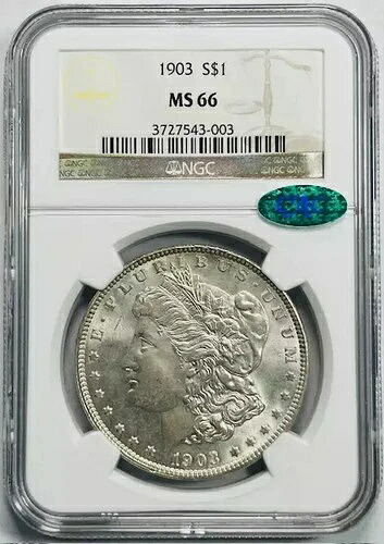 1903年 モルガン銀貨 NGC MS-66 CAC