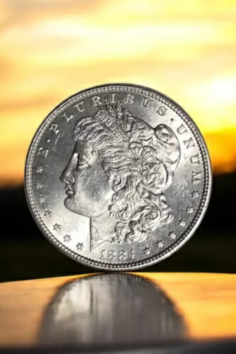 1884-P モルガン銀貨 ジェムブリリアント 未流通 ミントステート