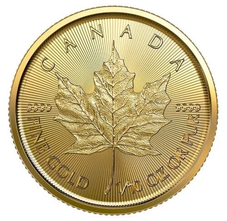 ???? 2023年 1/10オンス 純金貨 - カナダの貴重なゴールドメープルリーフ