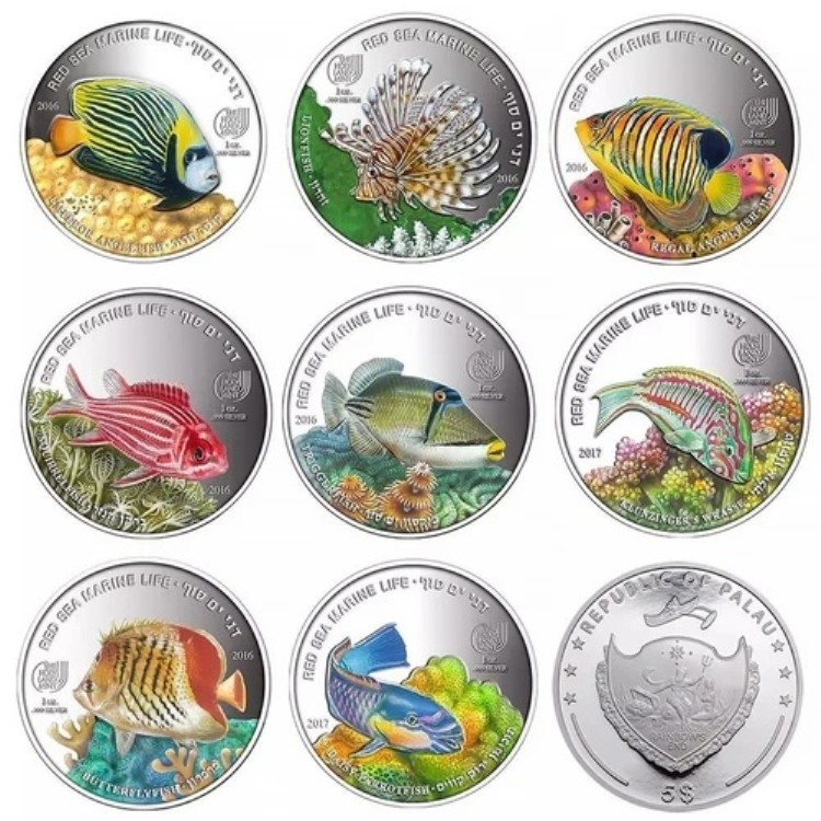 紅海の海洋生物セット
