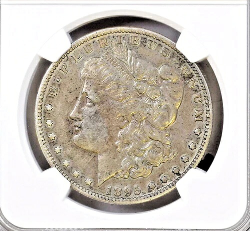 1895-O モルガン銀貨 NGCグレード XF 詳細｜WORLD RESOURCE【KING店】