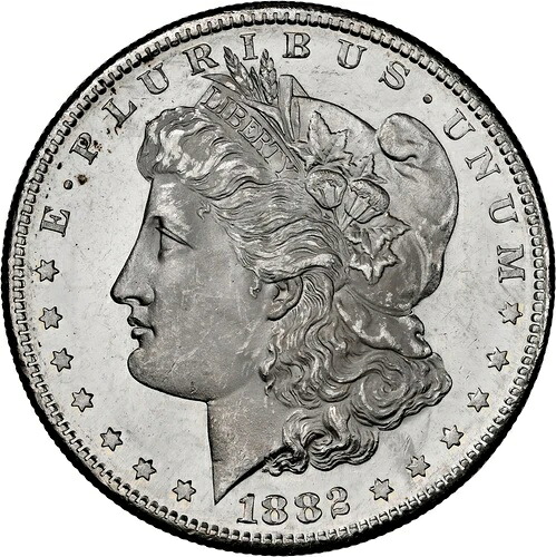 1882-S $1 モルガン NGC MS64 DMPL ディープミラー フロスティホワイトカメオ＆グレートストライク付き