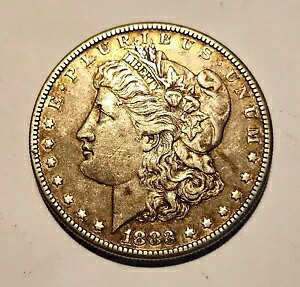 1883年 S モーガン シルバードル 美しい色調