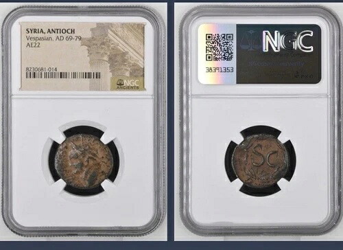 69-79年 ローマ皇帝ウェスパシアヌス NGC 古代コイン アンティオキア造幣局 素晴らしいディテール｜WORLD RESOURCE【KING店】