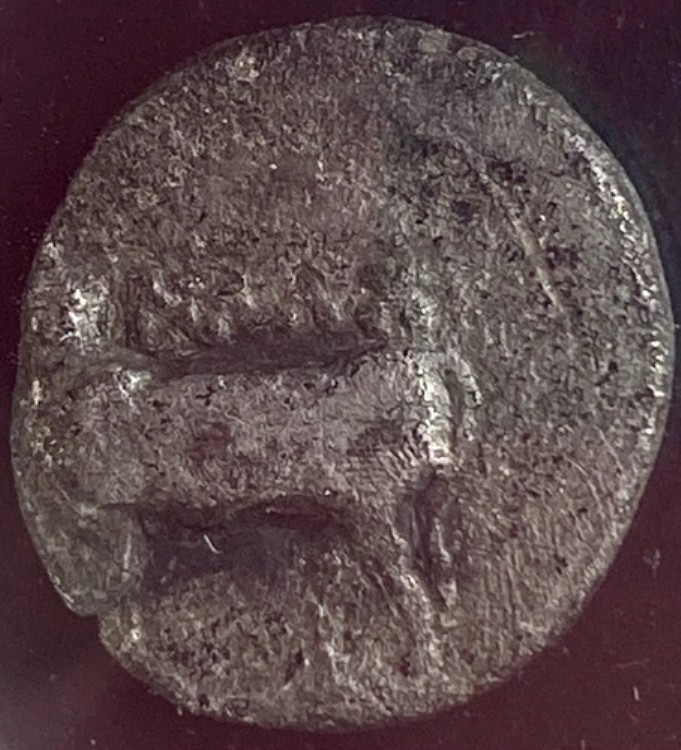 非常に希少なNGC認定古代ビテュニアカルケドンコイン紀元前340年～紀元前320年ギリシャ｜WORLD RESOURCE【KING店】
