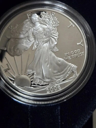 2006-W プルーフ アメリカン シルバー イーグル ドル 1 ドル 箱＆COA 米国造幣局 地金 OGP