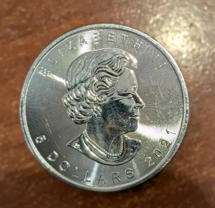 楽天市場】即納 2019 カナダ 愛されるメイプル・リーフ 銀貨 1