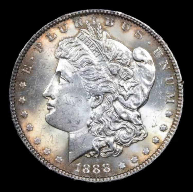 1888-P モルガン・ダラー、未使用・トーン付き - VAM-15 52,800円