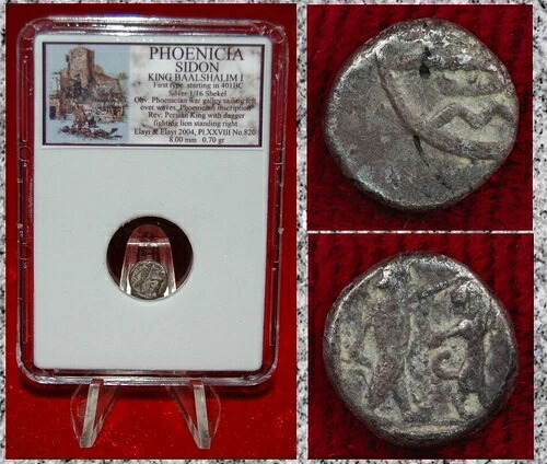 古代貨幣 フェニキア シドン ガレー船 王とライオン 銀貨 1/16 シェケル 初版
