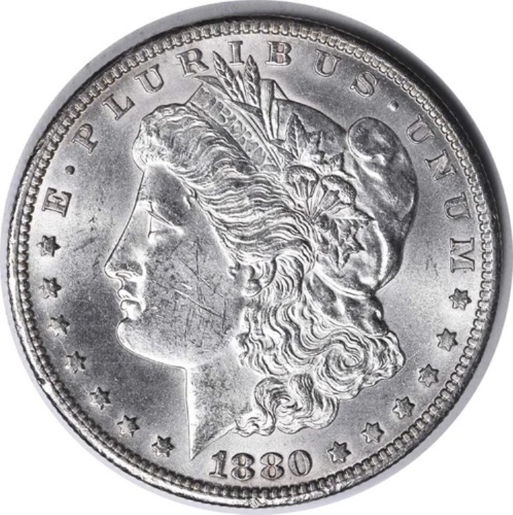 1880-CC VAM 7A1200 モルガン銀貨 8/7 Rev of 78 BU 未認定 #136｜WORLD RESOURCE【KING店】