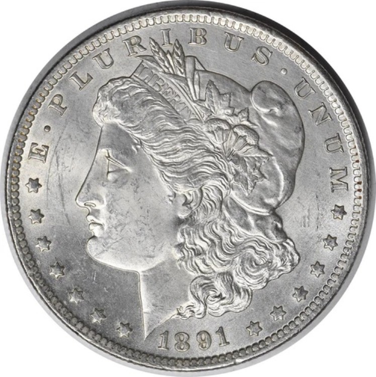 1891-CC モルガン銀貨 チョイス BU 未認定 #237｜WORLD RESOURCE【KING店】 964,700円