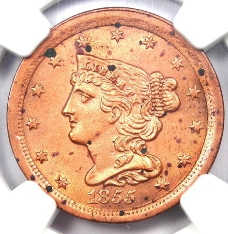 1855年 編み込みヘア ハーフセント 1/2C コイン - NGC認定 未流通ディテール UNC MS｜WORLD RESOURCE【KING店】