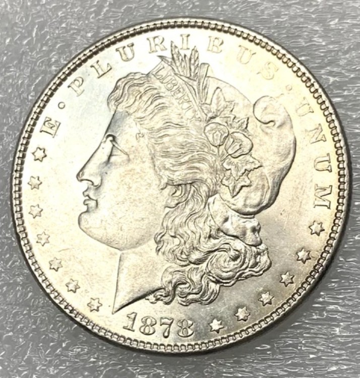 1878年 P 8TF モーガン シルバードル - プルーフライク - 8枚の尾羽根 希少|WORLD RESOURCE【KING店】