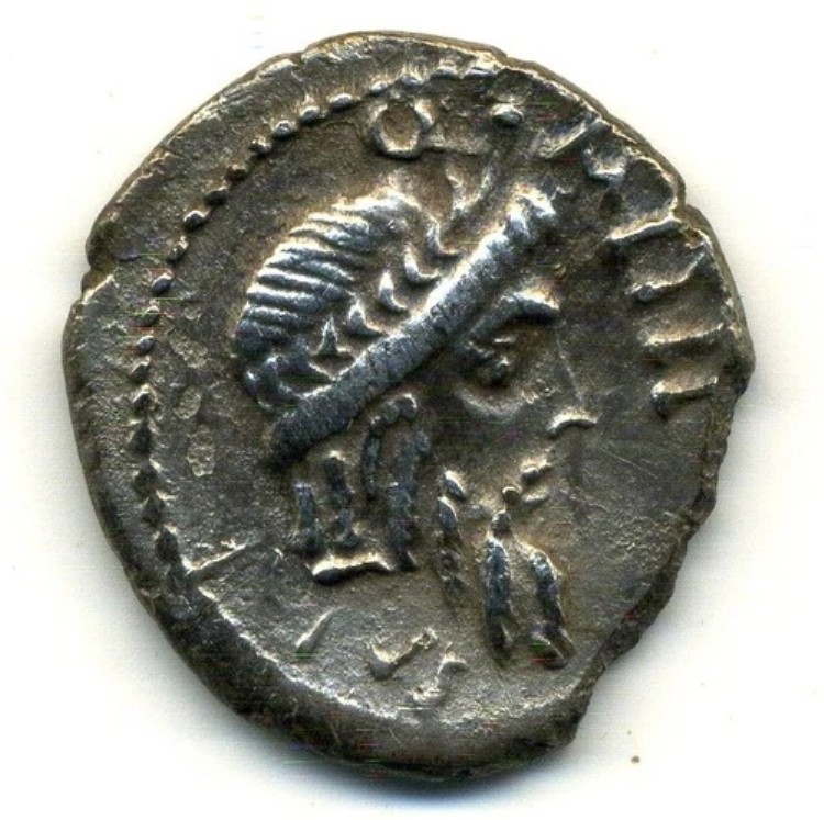 (3117) レア (R2) デニール by Q. Caecilius Metellus Pius (裏面: 象)-