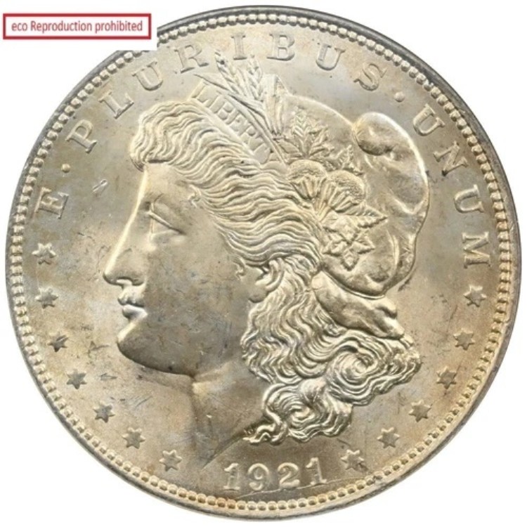 アメリカ 1921年 1ドル 1オンス 銀貨 NGC MS63 モルガン・ダラー|WORLD RESOURCE【KING店】