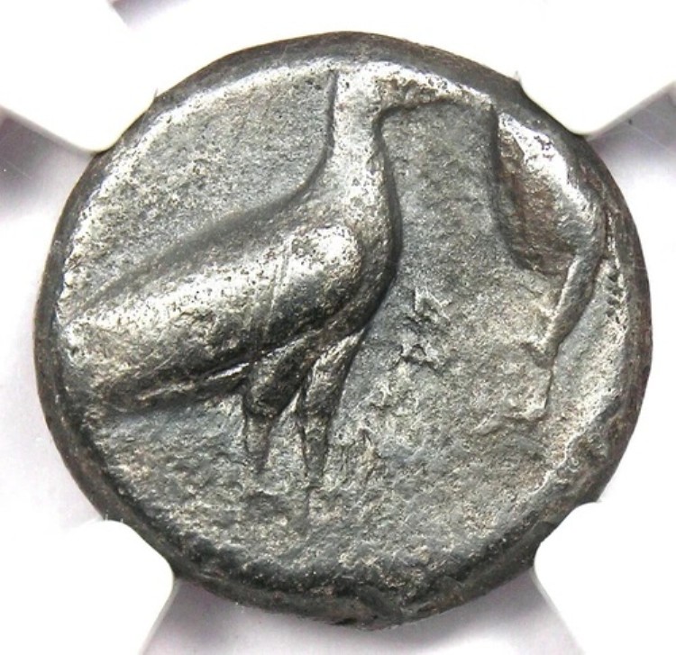 シチリア アクラガス AR ディドラクマ イーグルクラブ アクラガス銀貨 紀元前500-470年 - NGC Fine