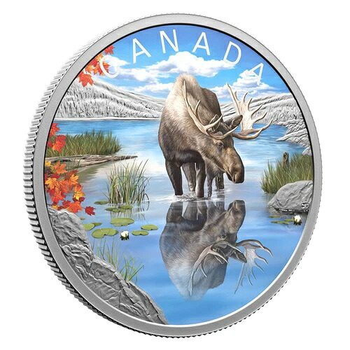 MOOSE Wildlife Reflections 2024 カナダ 1オンス .9999 純銀 プルーフ 20ドルコイン 103,950円