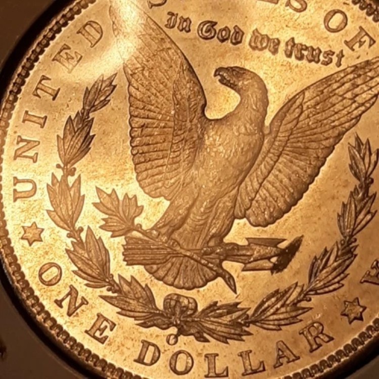 1904-O モルガン銀貨 (BU64/63 PL)