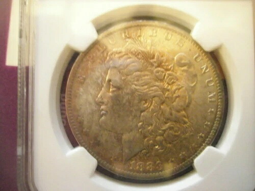 1883-0 NGC MS 62 モルガン銀貨