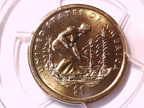 2009年 P ネイティブアメリカンドル PCGS MS 66 弱いエッジ文字位置A 15650512