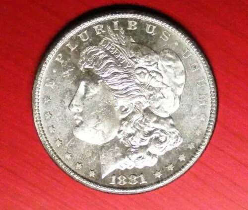 1881年 S モルガン・ダラー ブリリアントホワイト ジェミー 未流通 グレード 52020-04 写真による