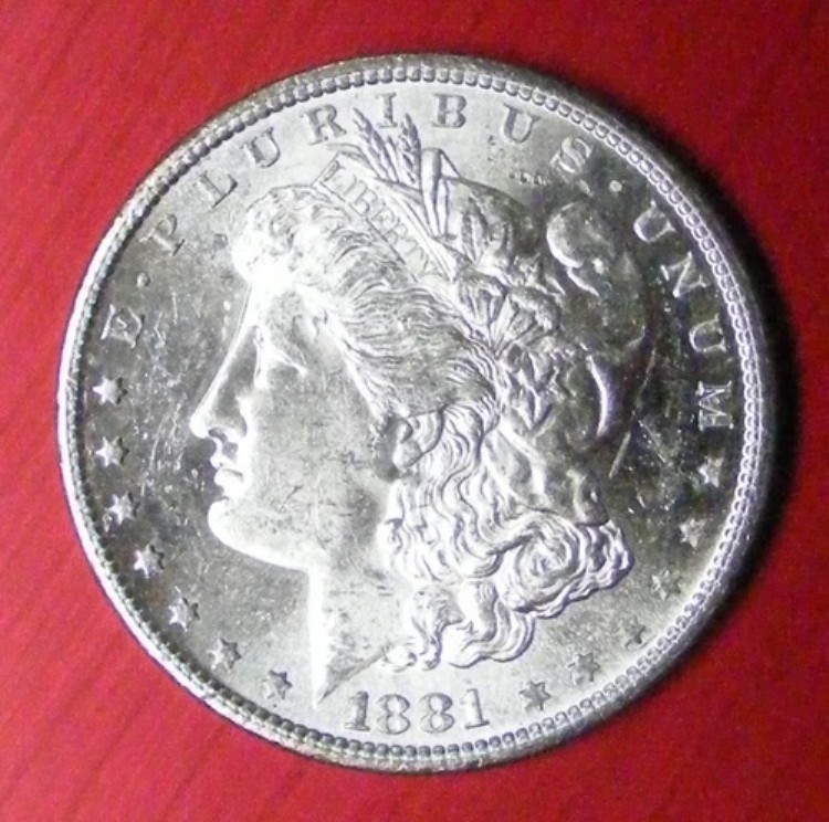 1881年 S モルガン・ダラー ブリリアントホワイト ジェミー 未流通 グレード 52020-05 写真による