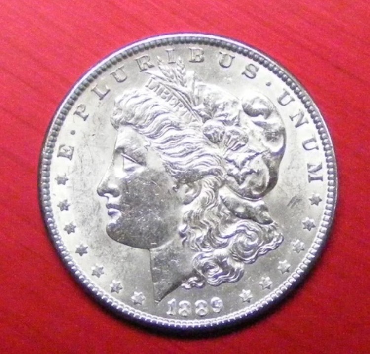 1889年 P モルガン・ダラー 未流通ロールより // 写真によるグレード 75489-16 58,685円