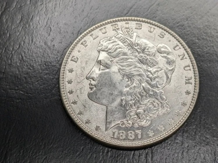1887-P モルガン銀貨 未鑑定コイン - MS 詳細 58,685円