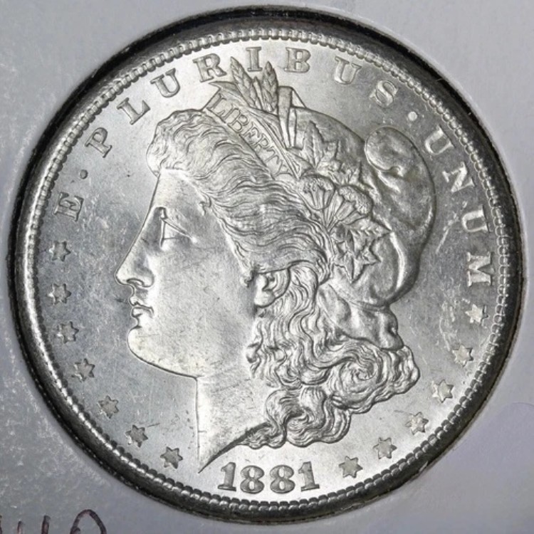 1881-S モーガン銀貨 BU *未流通* MS PL 裏面 E377 OWHP