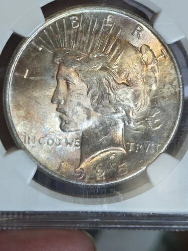 1925年 1ドル ピースダラー NGC MS62 トーン