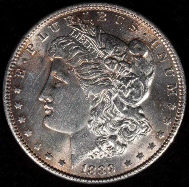 1889-P モルガン銀貨 ゴージャスミント ラスター BU MS++ ラセット トーニング｜WORLD RESOURCE【KING店】 59,290円