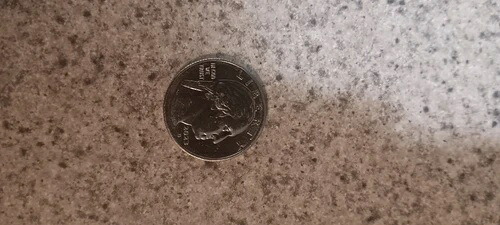 2024年 Pエラークォーター 非常に希少 必見