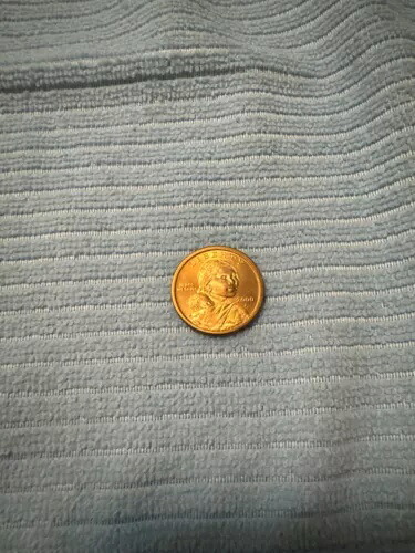 希少な2000 Pサカガウィア1ドル硬貨