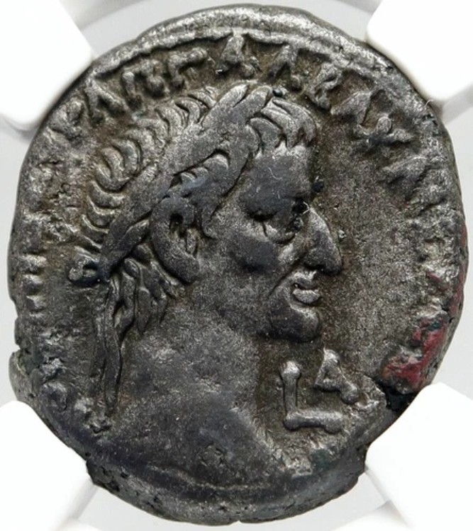 GALBA 希少 本物 古代アレクサンドリア エジプト テトラドラクマ ローマコイン NGC i83542|WORLD RESOURCE【KING店】