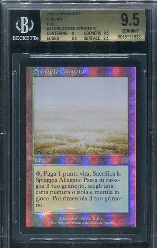 氾濫岸の猛攻 フォイル イタリア製 フェッチランド BGS 9.5 ジェム ミント MTG マジック｜WORLD RESOURCE【KING店】
