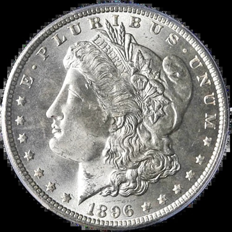 1896-P モルガン銀貨 PCGS MS65 ブレイジングホワイトジェム ナイスストライク - 在庫あり｜WORLD RESOURCE【KING店】