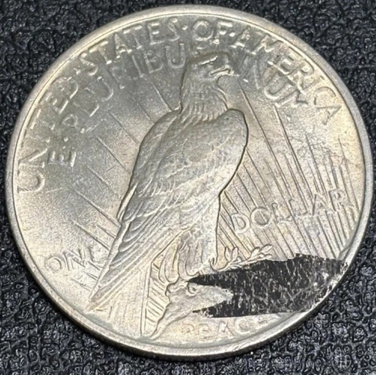1923年米国平和銀貨 - エラー、大型プランシェットラミネート改訂版、未流通｜WORLD RESOURCE【KING店】