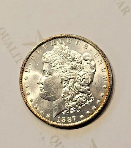 希少な1887年製 美しい1ドルモルガン銀貨 ドリッピングラスター C9837｜WORLD RESOURCE【KING店】