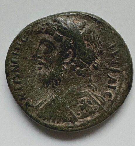 ローマ帝国 AR デナリウス (145-161) アントニヌス ピウス、138-161 - ローマ - レア-|WORLD RESOURCE【KING店】