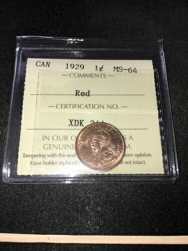 1929年 ICCS グレードカナダ、小型 1 セント、**MS-64** # XDK 344