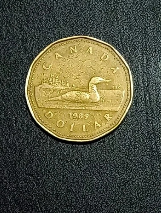 1989年カナダ プルーフ ルーニー - 未流通1ドル硬貨