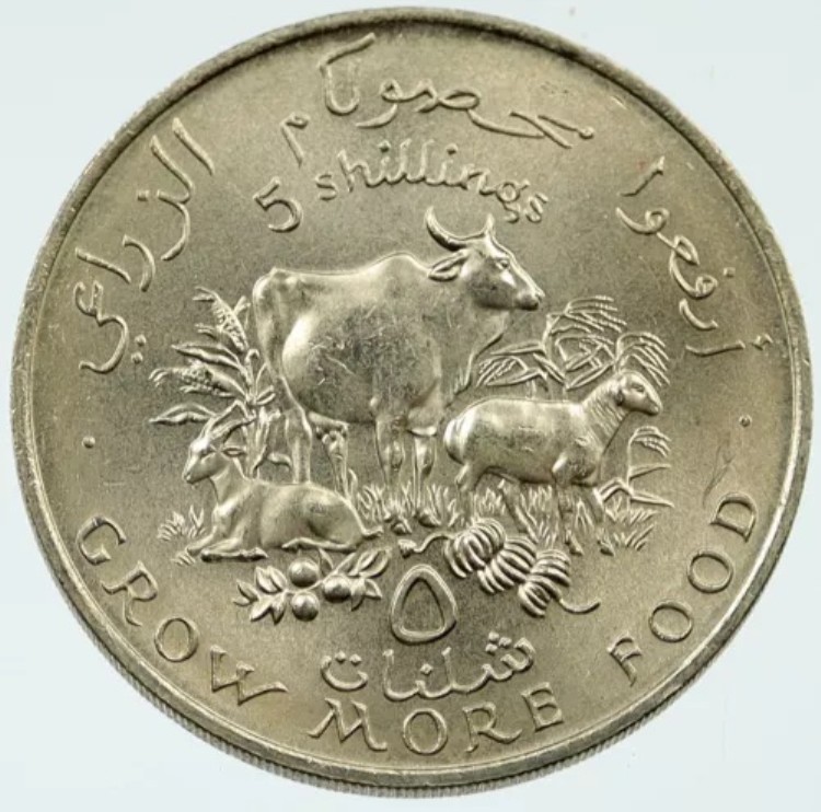 1970年 ソマリア ソマリア共和国 国連FAO農業用牛 5シリング硬貨 i117322