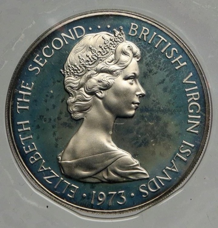 1973年 イギリス領ヴァージン諸島 エリザベス2世女王 ペリカン プルーフ 50セントコイン i93943