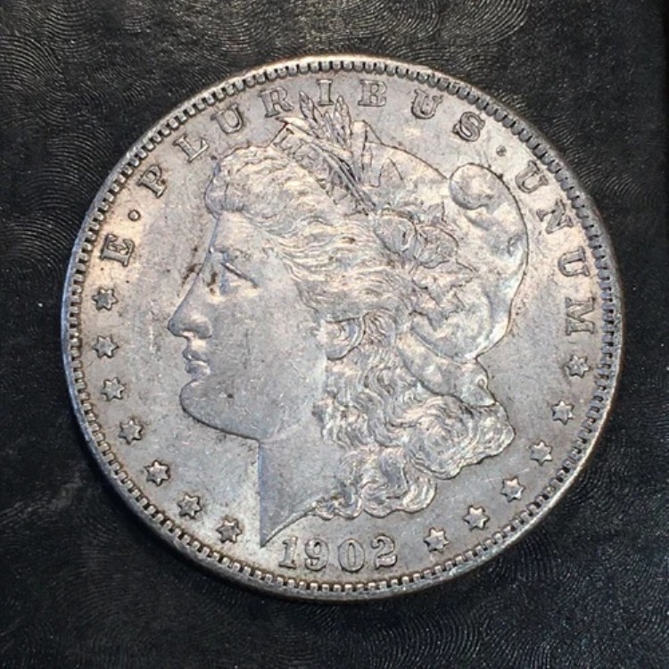 1902年モルガン銀貨 - 高品質スキャン #N661