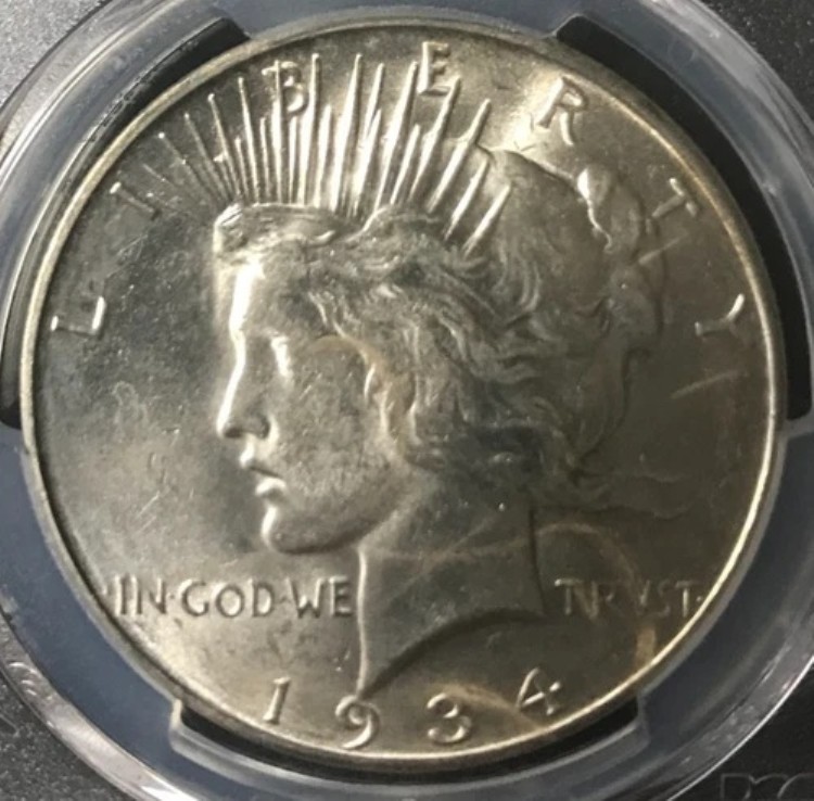 1934年 Dピース銀貨 PCGS MS 62|WORLD RESOURCE【KING店】