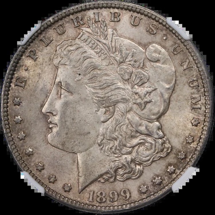 1899-P モルガン銀貨 NGC MS61 外観良好 良好なストライク|WORLD RESOURCE【KING店】