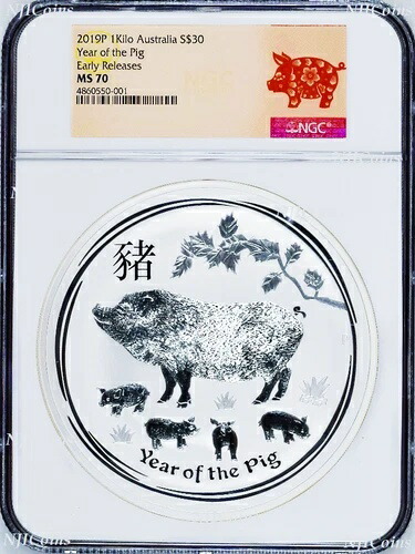 2019年 亥年 キロ .9999 銀貨 30ドル NGC MS70 コイン ER