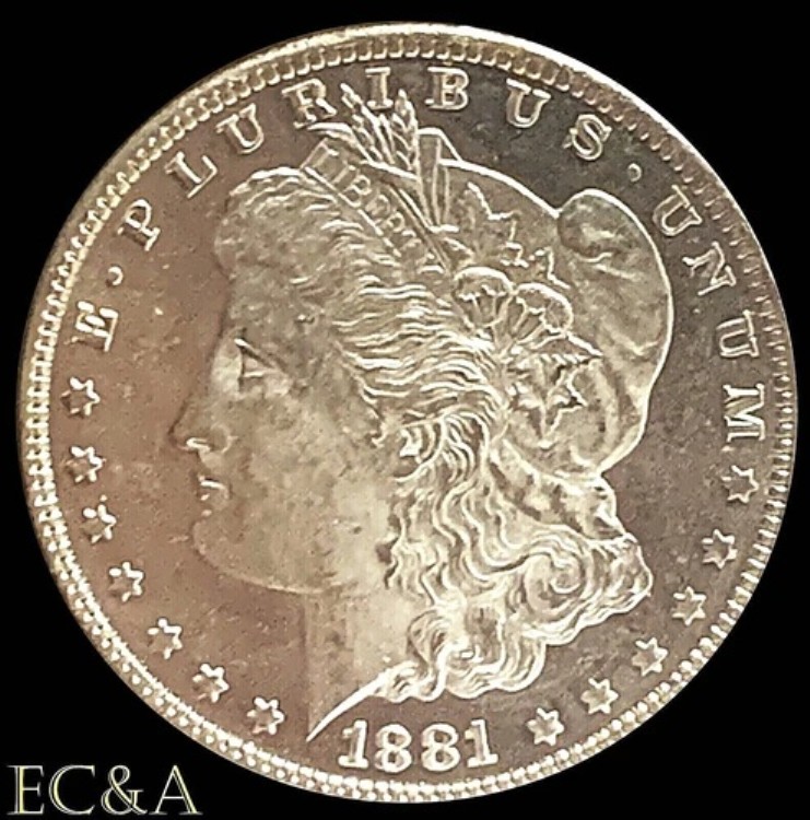 1881-O モルガン銀貨 プルーフ型宝石 (M316)