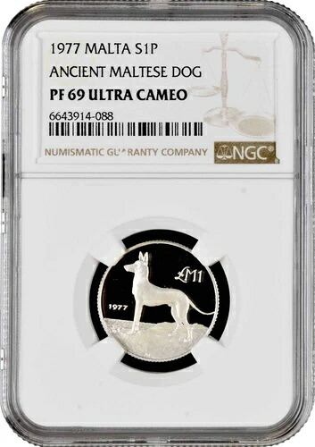 マルタ 1ポンド 1977年、NGC PF69 UC、「マルチーズ・ハンティング・ドッグ」トップポップ 3/1｜WORLD RESOURCE【KING店】