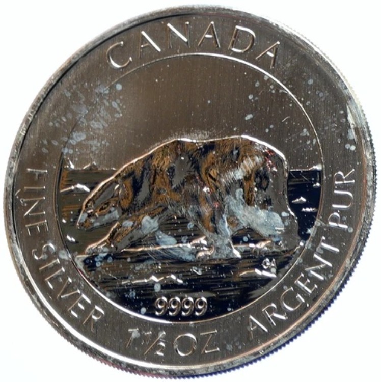 2013年 カナダ 英国 エリザベス2世 ポーラーベア ノルディック プルーフ シルバー 8ドル コイン i103927|WORLD RESOURCE【KING店】